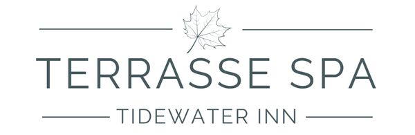 Terrasse Spa Logo TRANSPARENT.jpg