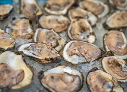 OYSTER BRAWL 2023_ (68).jpg