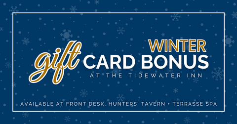 TWI Winter Gift Card Bonus Web Graphic.png