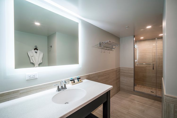 Premier Executive Suite Bathroom