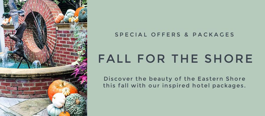 TWI Fall Packages POP UP.jpg