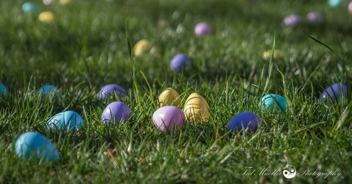 WEB Easter Egg.jpg