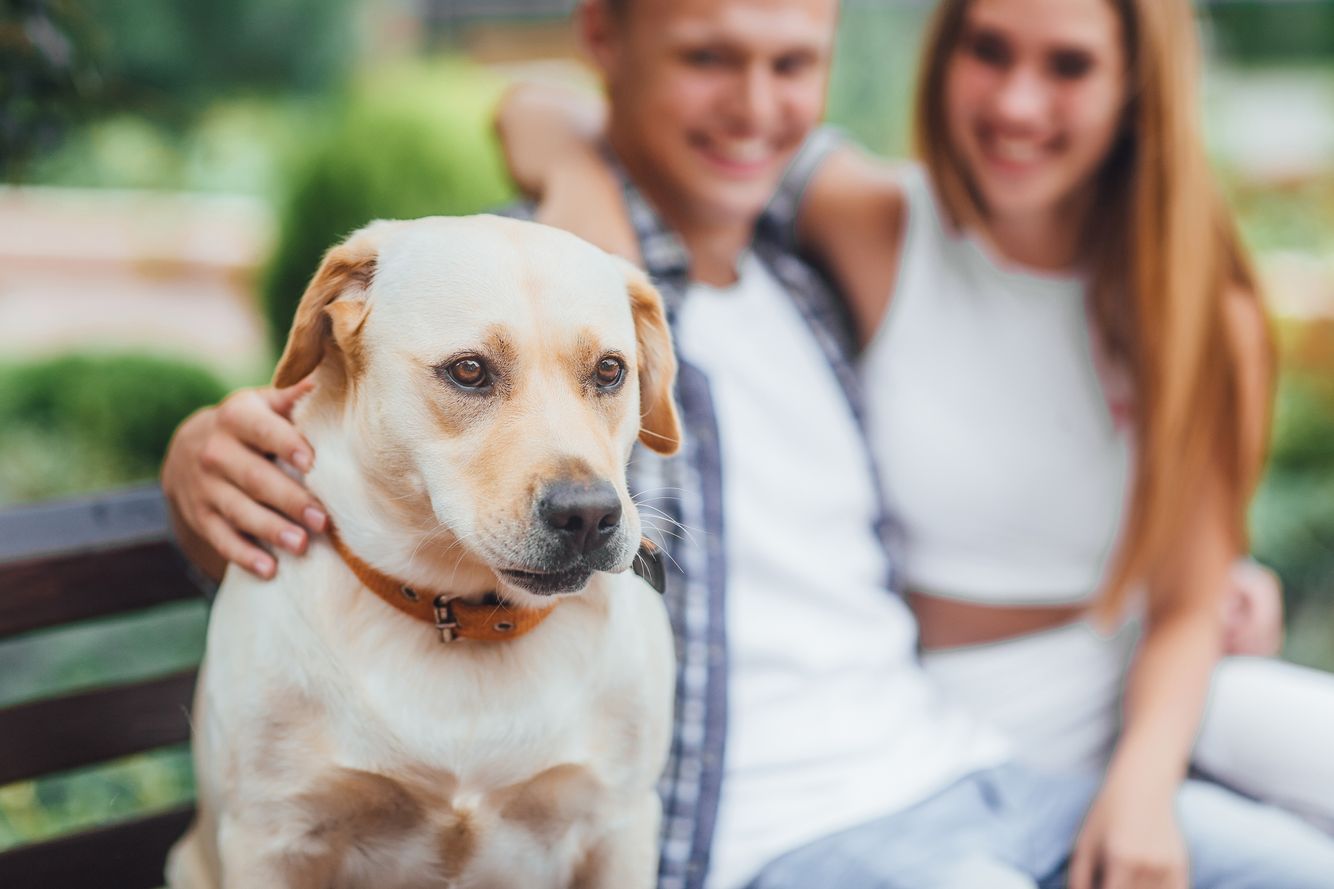 family with labrador dog