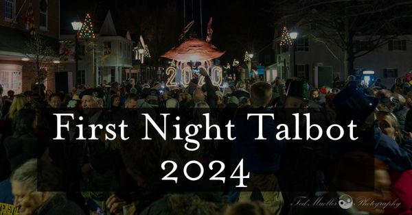 First Night Talbot 2024.jpg