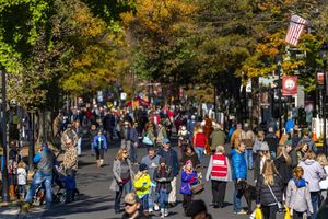 maryland waterfowl festival