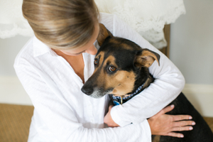 Dog friendly wedding venue Eastern Shore Wedding