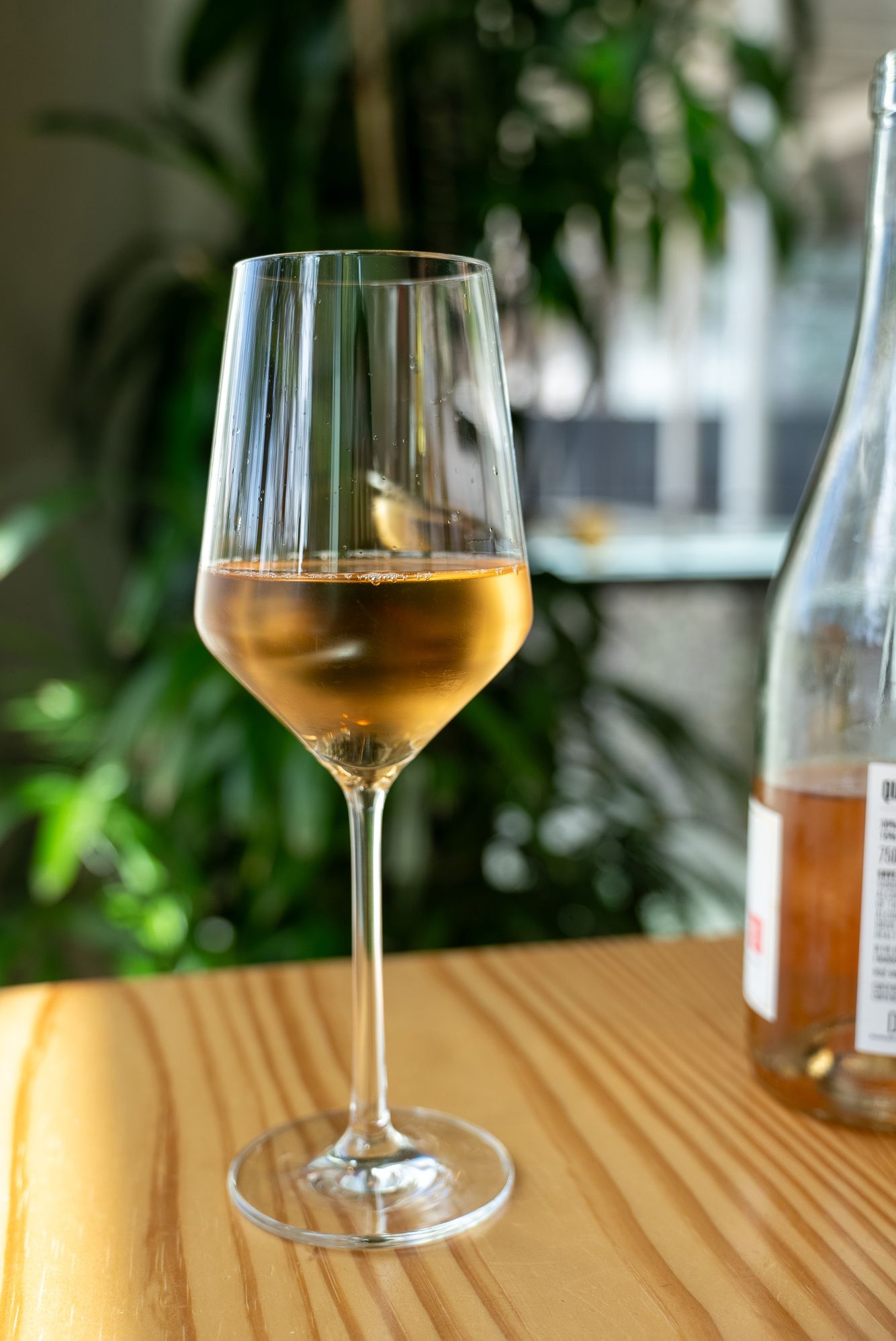 Wine Tasting Class