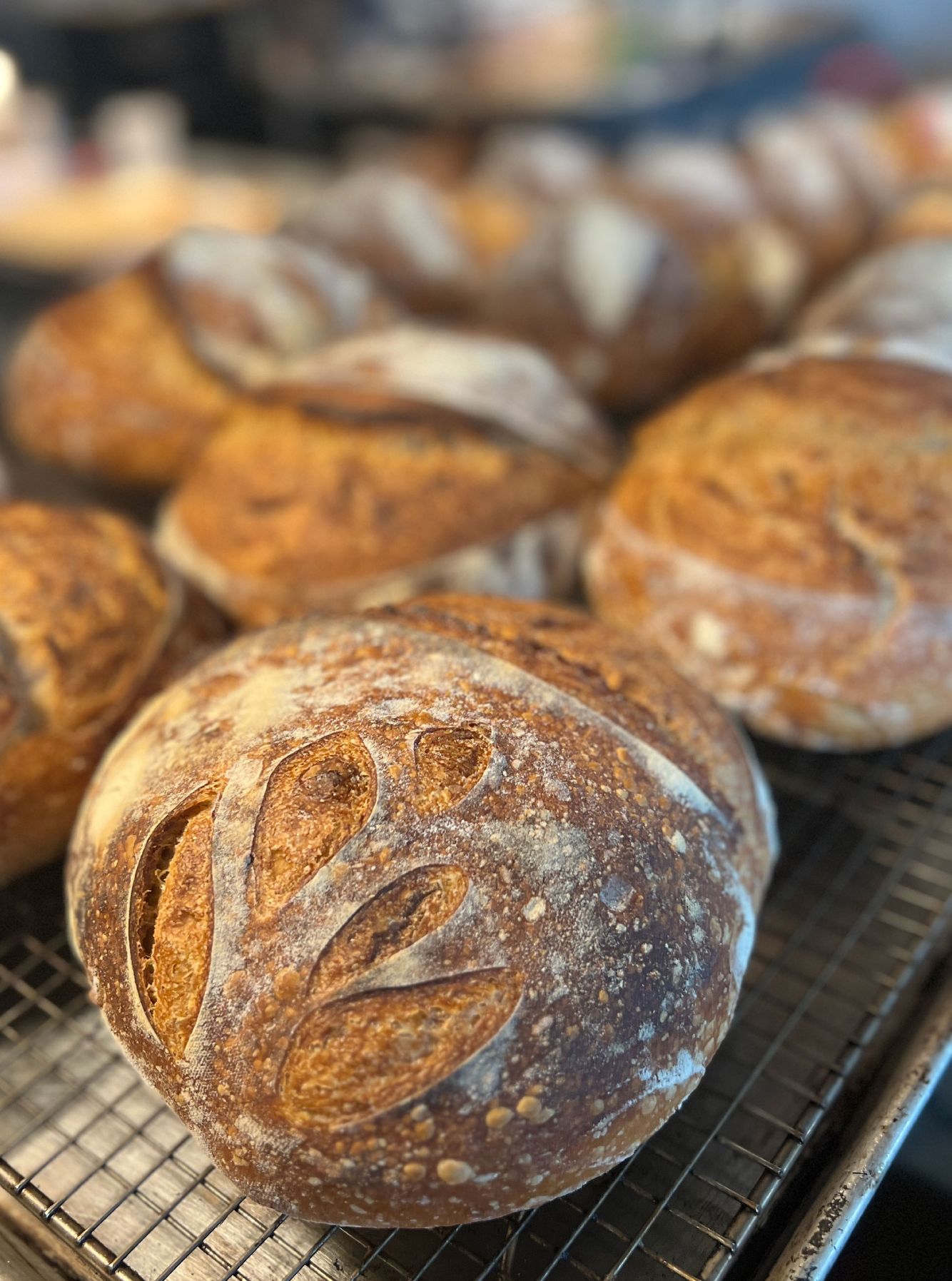 _BREAD-BAKING.jpg