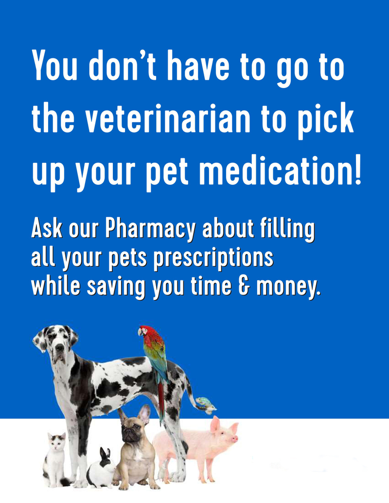 AnimalFlyer.jpg