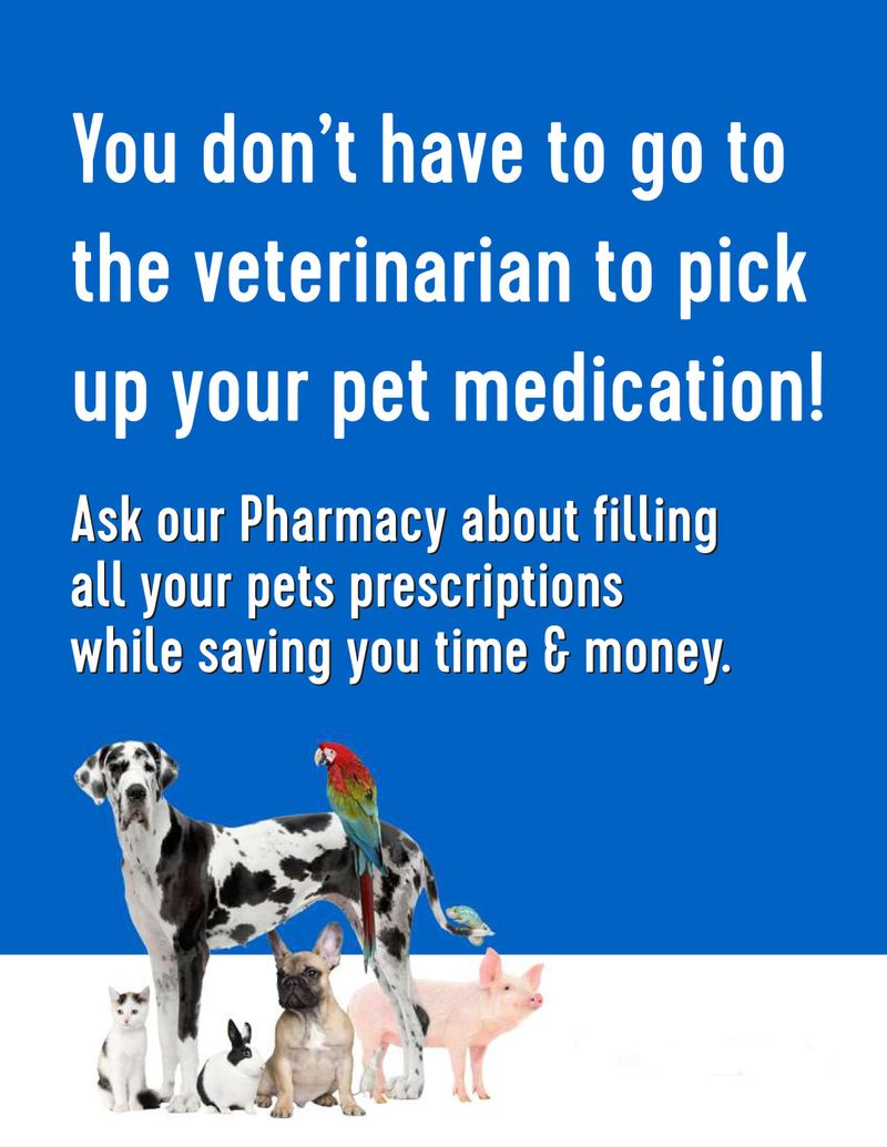 Pet Medications - Your Local Brooklyn Pharmacy