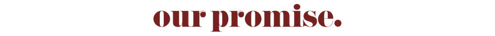 our promise.png