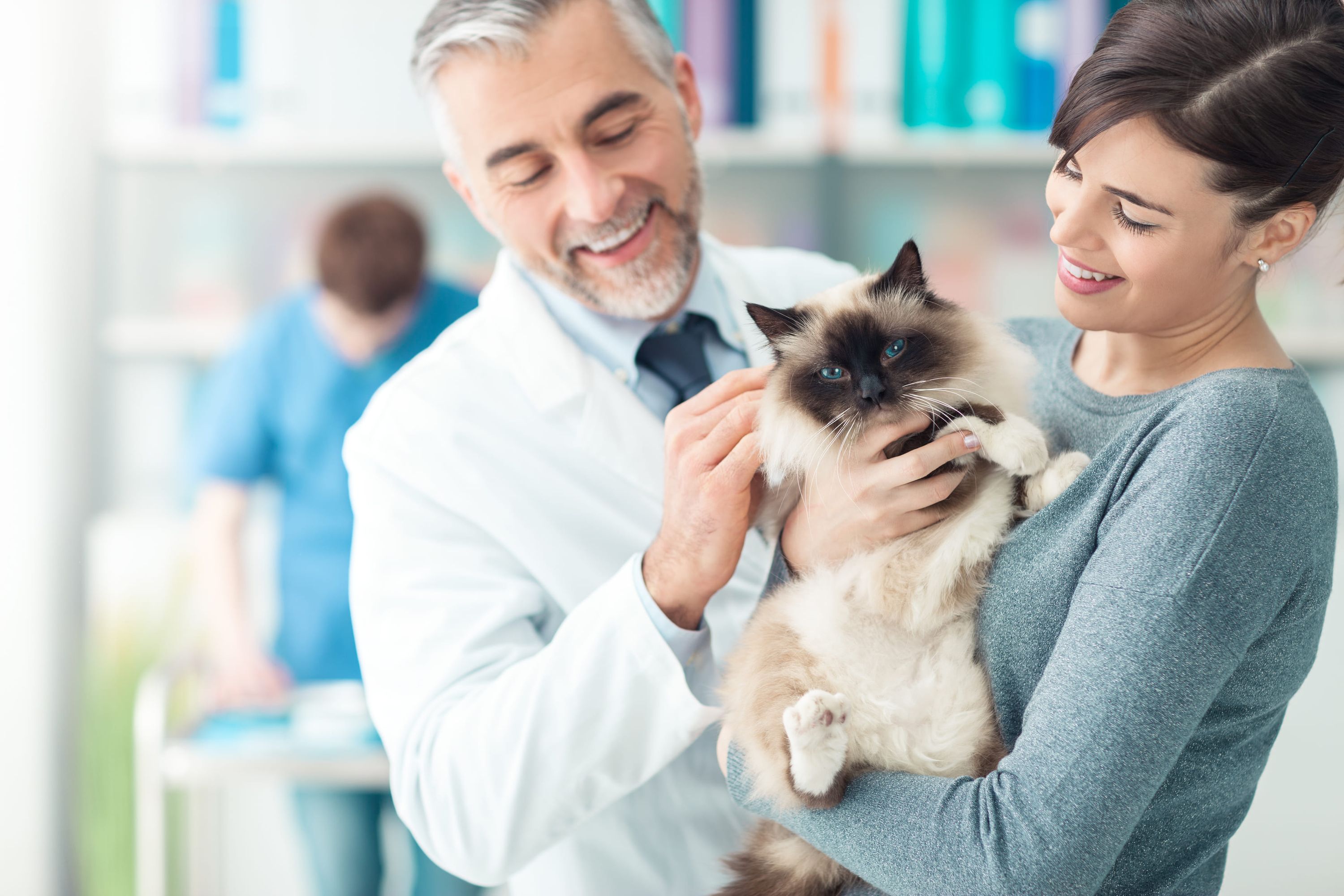Woman holding a cat while a veterinarian pets it Pet Care