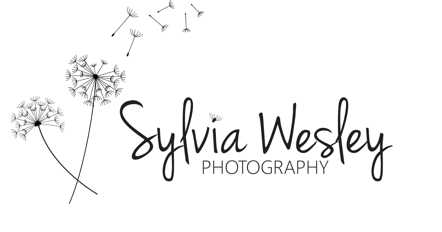 Sylvia Wesley Photography