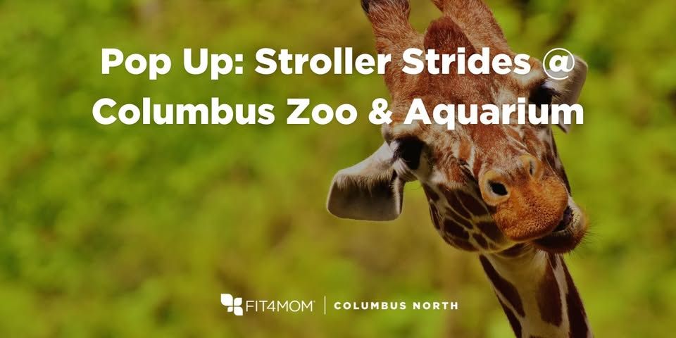 Pop Up zoo SS.jpg