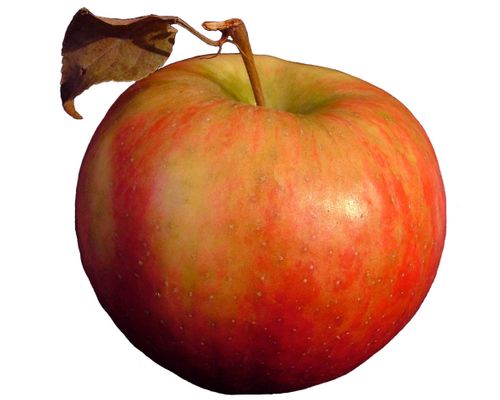 EastwayInsuranceAgency.com Apple.jpg