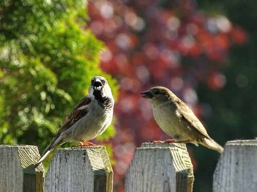 On the Fence about Insurance?