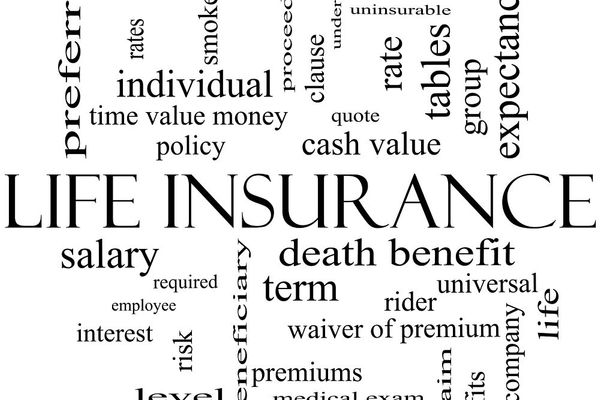 What Is Term Life Insurance