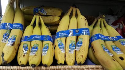 Bundles of bananas Locally-Owned Natural Store