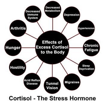 effects of cortisol.jpg