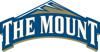 TheMount_Logo_element_view.jpg