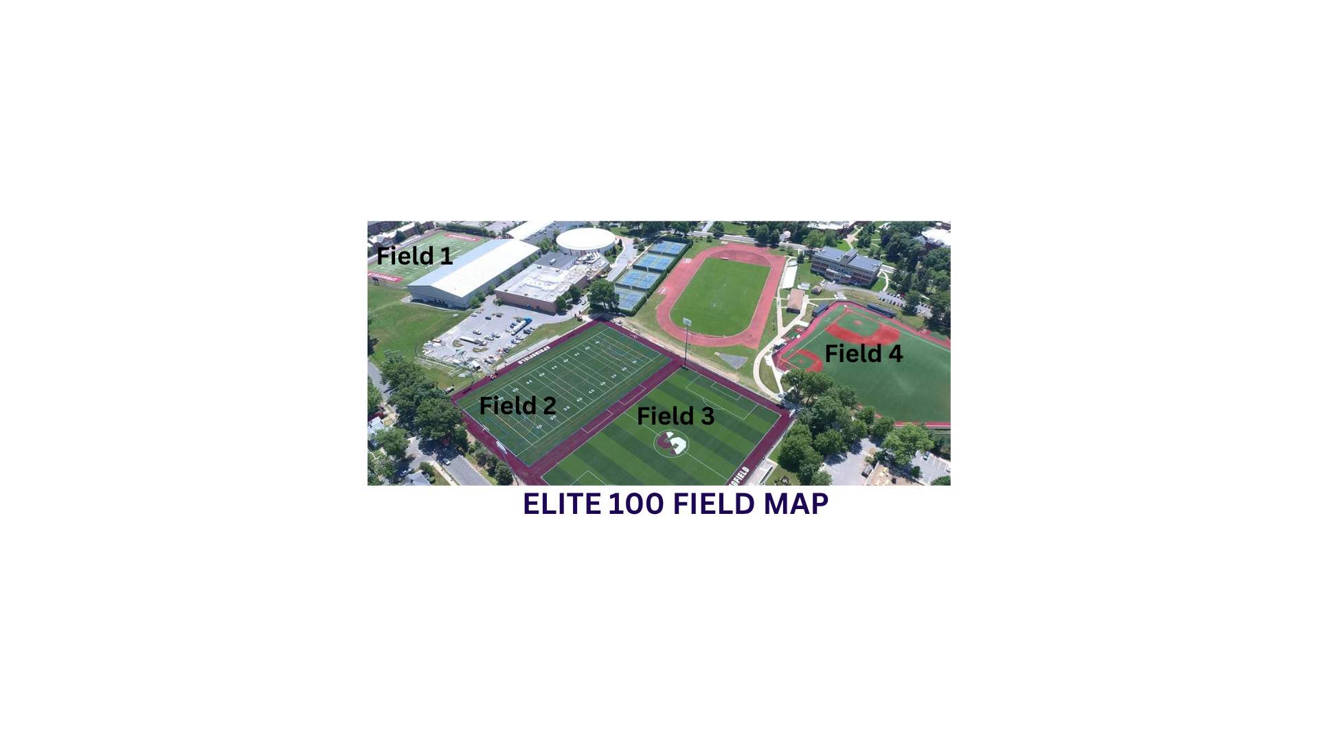 Field 1.png