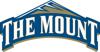 TheMount_Logo_element_view.jpg