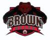 brown_element_view.jpg