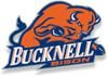 bucknell_Bison_logo_element_view.jpg