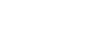 NLV_logo.png