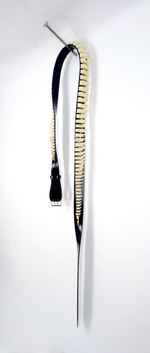 Resin, cast human spine, stainless steel nail. 80"x16"x12" Spineless Belt on a Nail