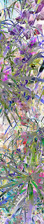 Archival pigment print, 90x18 inches, edition 1 of 5. Weave (December 9, 2017)