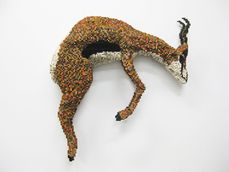 Shawn Smith - Stotting Gazelle