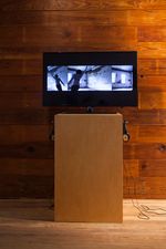 2012, 3-channel HD video installation, Duration: 12 minutes Bug Davidson - Martindale