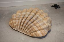 2014,Polyethylene kiddie pool, epoxy resin, tea-stained canvas, linen tape, body filler, polyurethane
expanding foam, polyurethane glue, epoxy, superglue, latex paint, 15” x 32” x 26” Olivia Moore - Untitled (Clamshell)