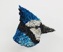 Shawn Smith - Blue Jay