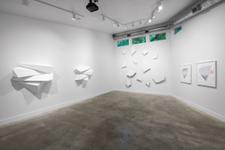 photographed by Colin Doyle Serene Disturbance install