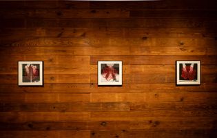 The Threads That Hold US