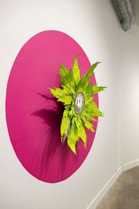 Stapelia Gigantea Mirror