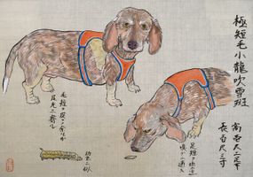The Dog Show: Time Traveler Umeyama’s Drawings from the 21st Century