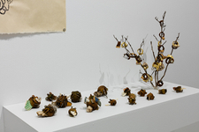 Deborah Mersky