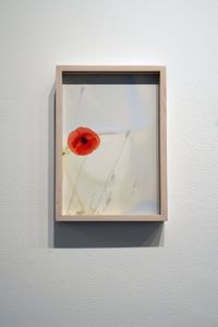 Time Being, no. 07