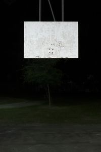 Bucky Miller - Backboard