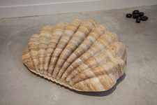 2014,Polyethylene kiddie pool, epoxy resin, tea-stained canvas, linen tape, body filler, polyurethane
expanding foam, polyurethane glue, epoxy, superglue, latex paint, 15” x 32” x 26” Olivia Moore - Untitled (Clamshell)
