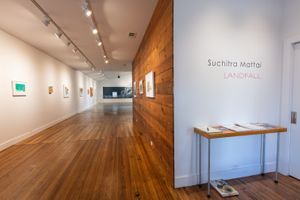 Suchitra Mattai - Landfall