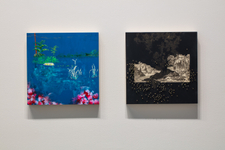 Suchitra Mattai - transgressions & purgatory