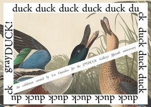 DuckDuckgrayDUCK_PR_v2.jpg