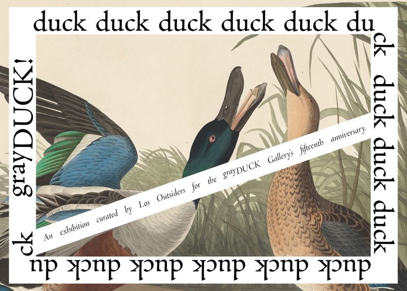 DuckDuckgrayDUCK_PR_v2.jpg