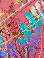 Archival pigment print, 33x25 3/4 inches, edition 1 of 9. Weave (August 10, 2017)