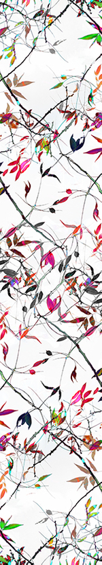 Archival pigment print, 194 1/2x35 1/2 inches. Weave (February 25, 2018)
