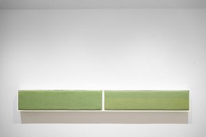 Ana Esteve Llorens, Untitled (A Long Horizontal Green)